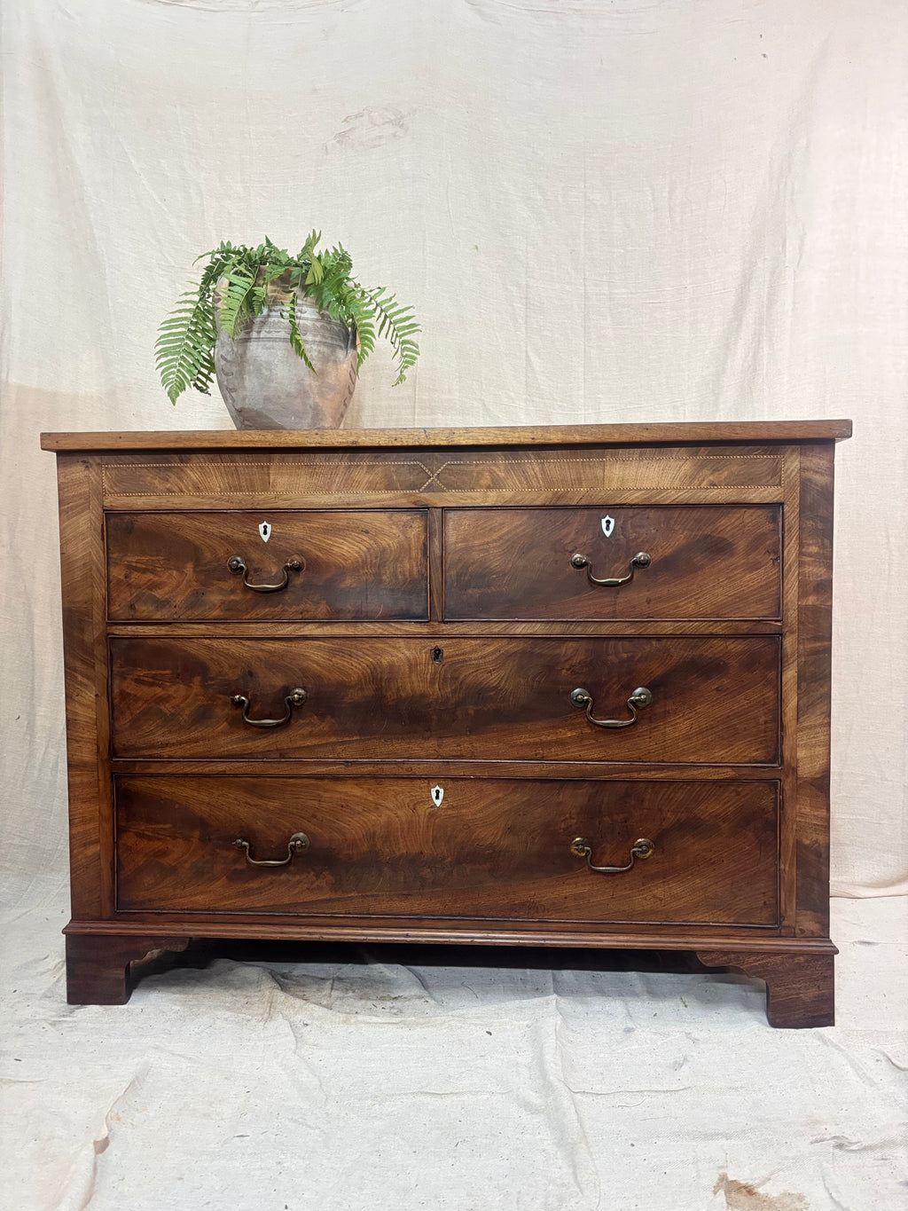Wooden dresser with a plant on top against a plain background