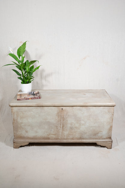 Painted 19th C Blanket Box