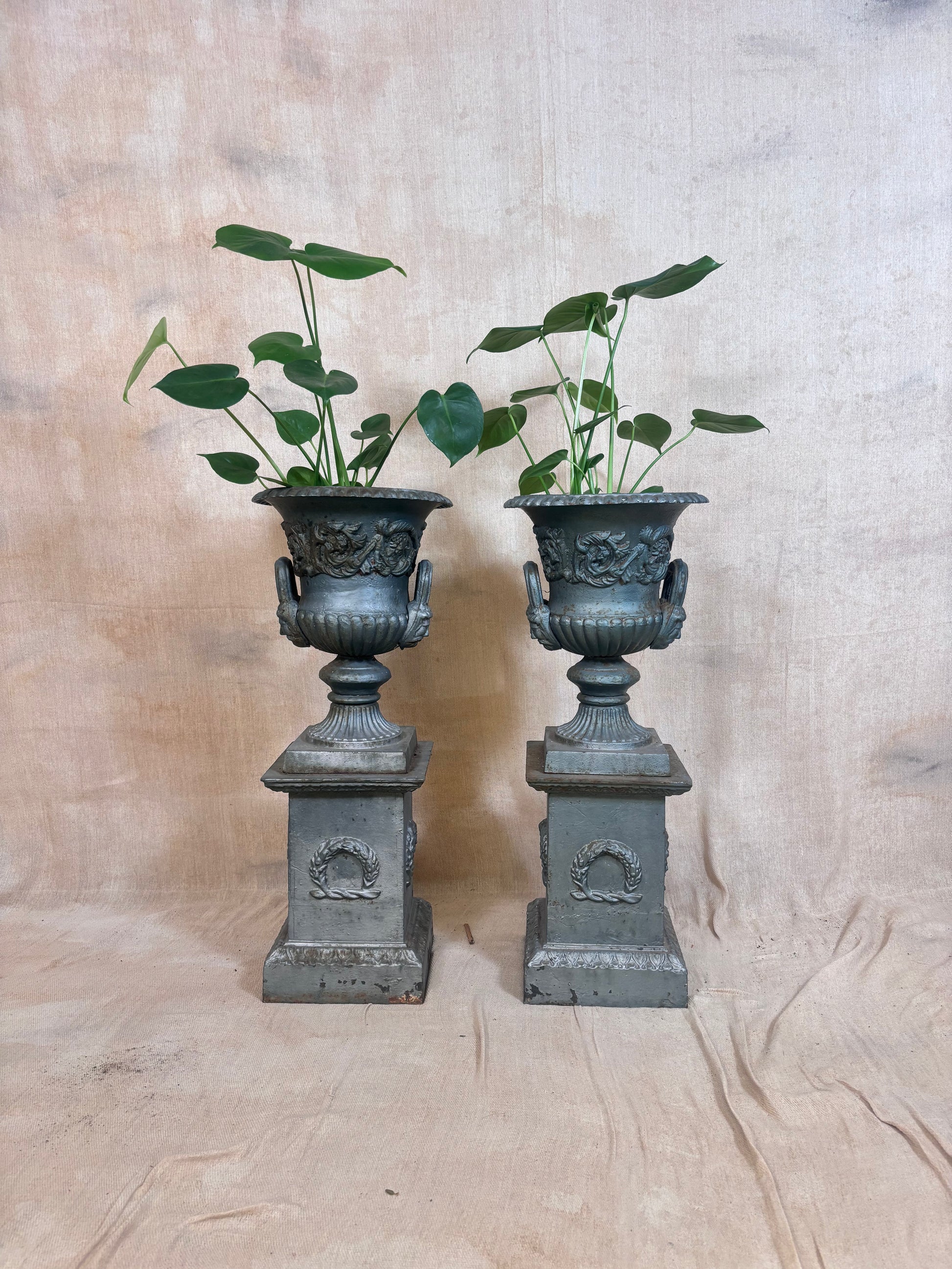 Pair Garden Urns on Pedestals