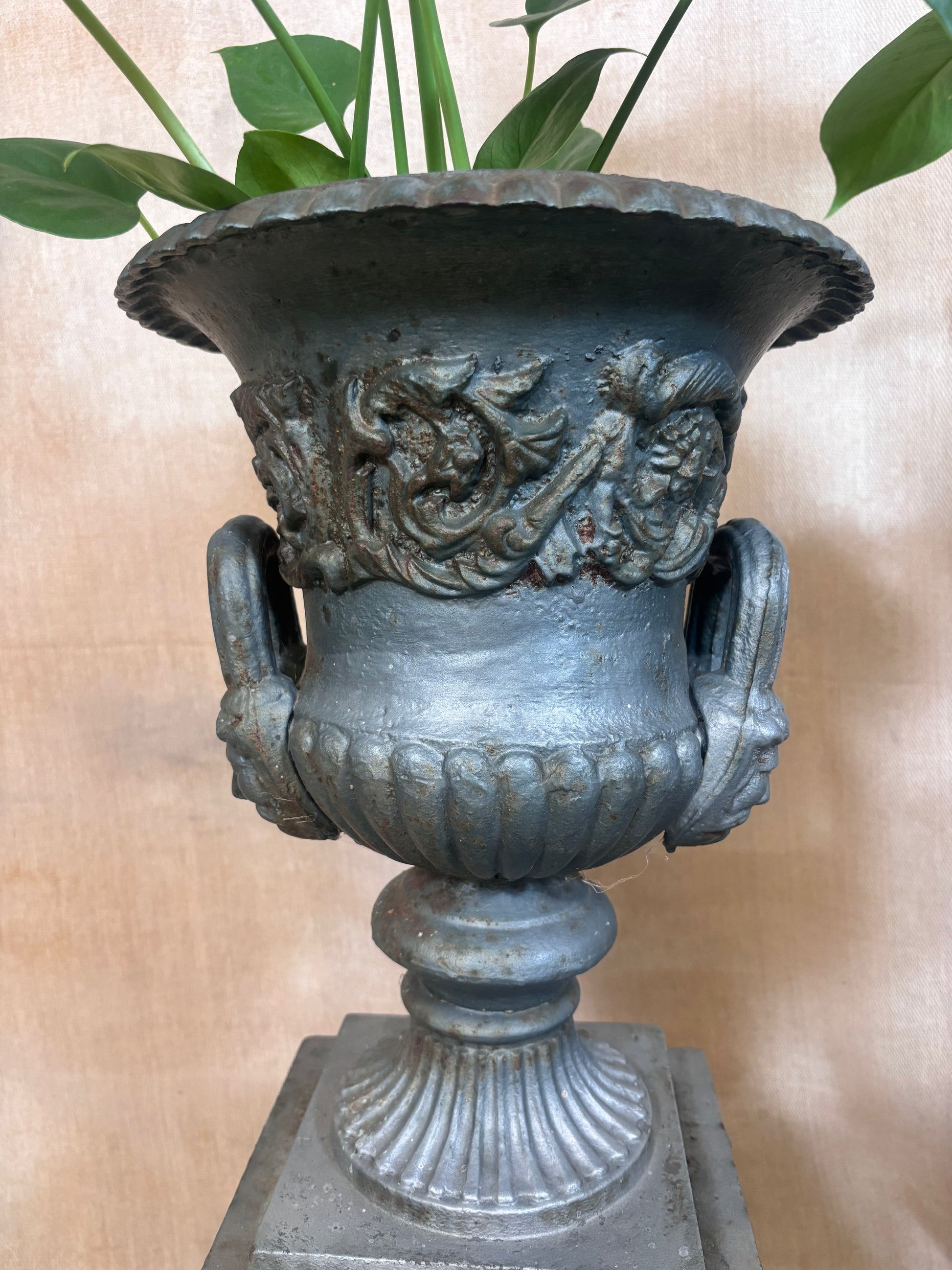 Garden Urns on Pedestals