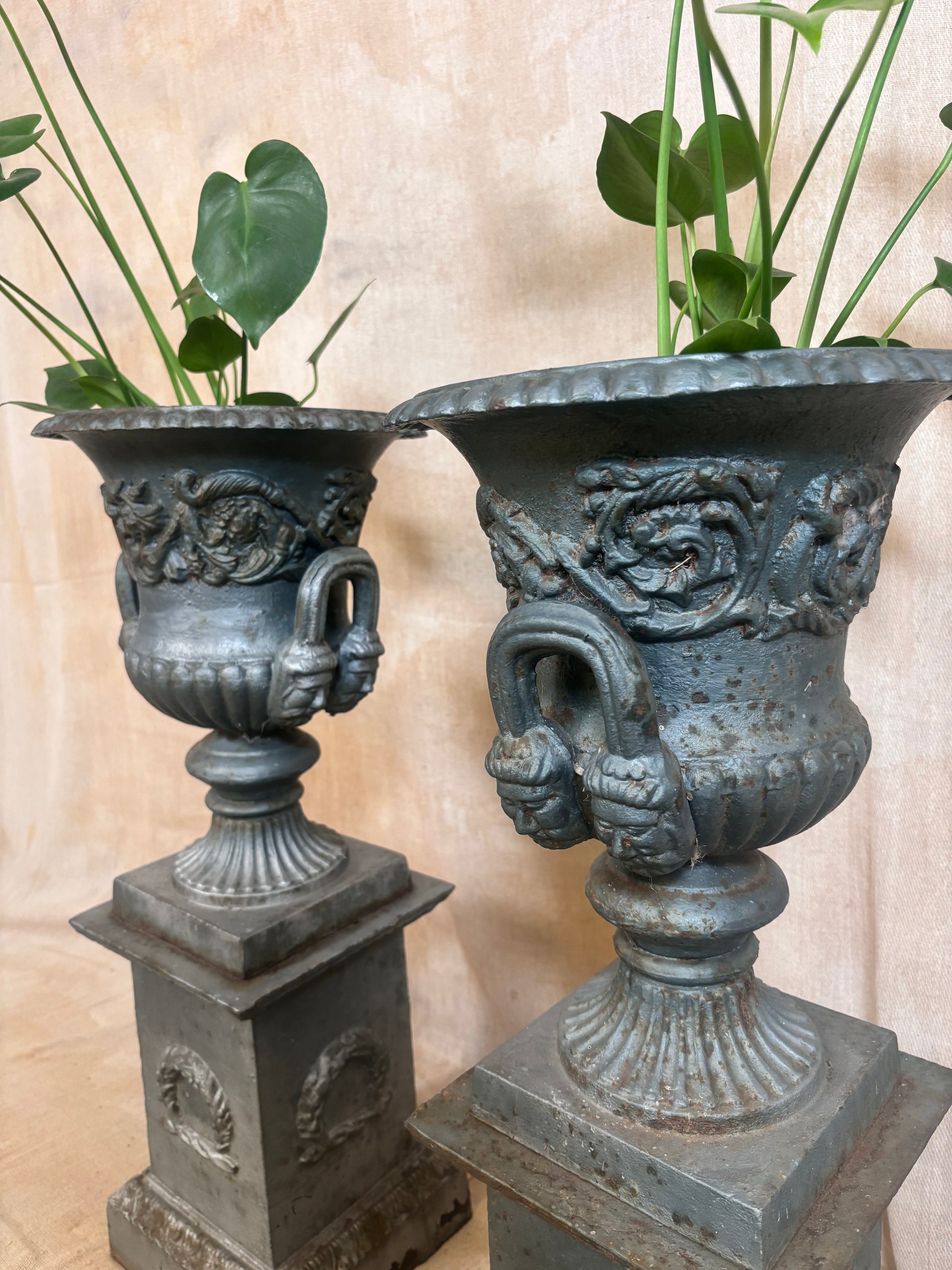Garden Urns on Pedestals