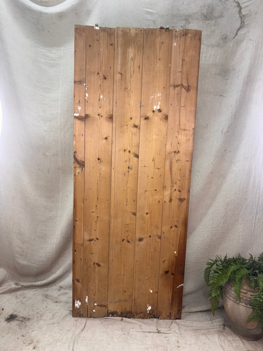 rear of a Wooden shelf with a white curtain and plant in the background