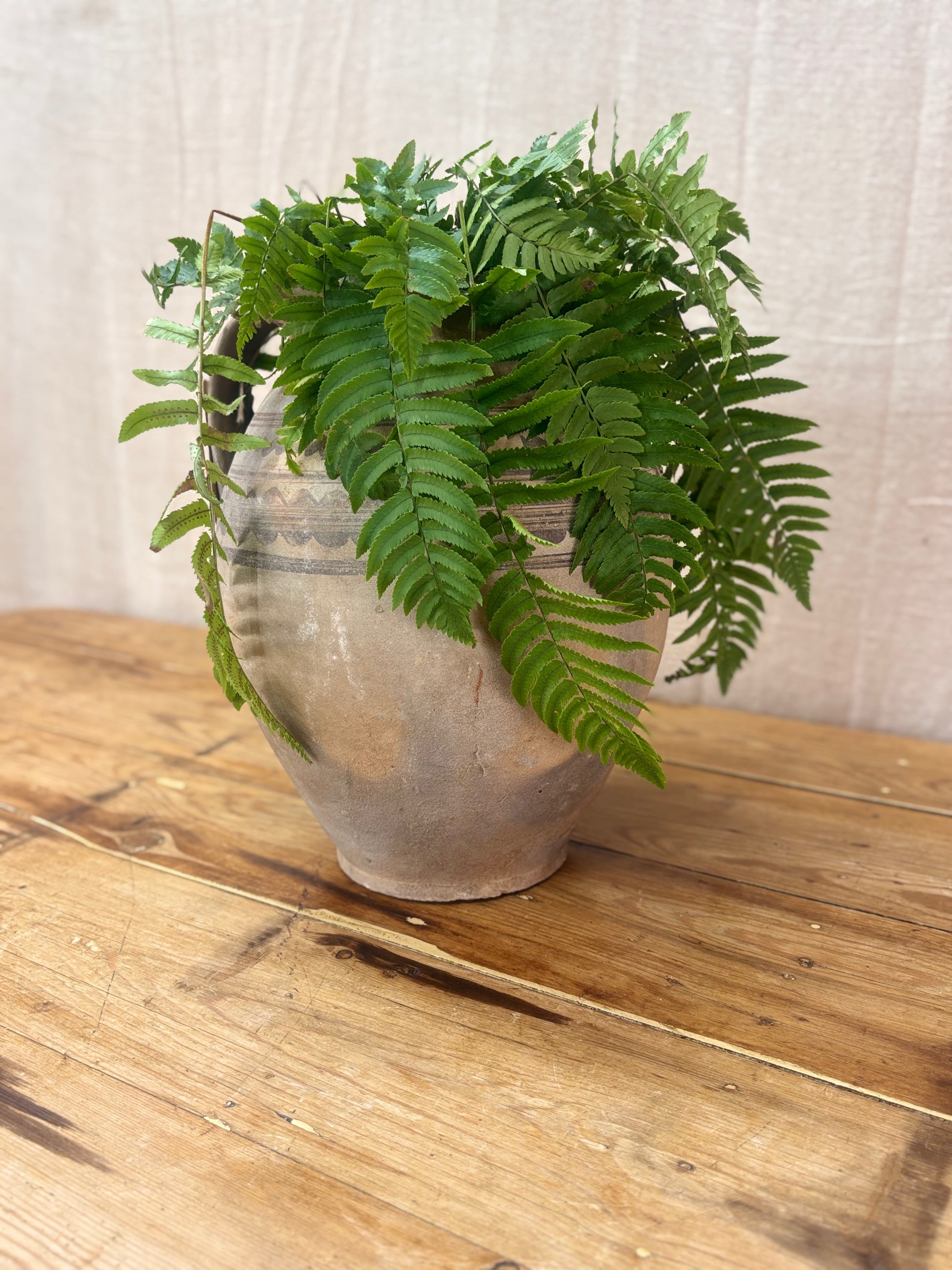 A Potted Fern on a Pine table in a rustic pot