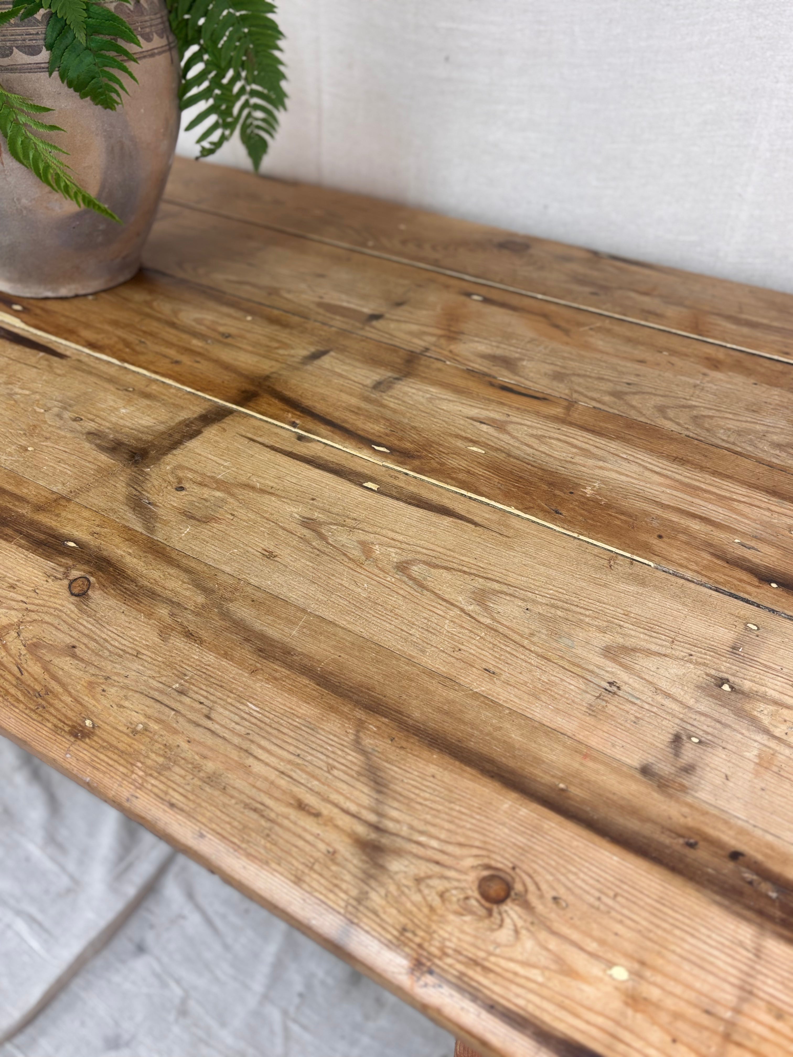 a worn pine table top and plant