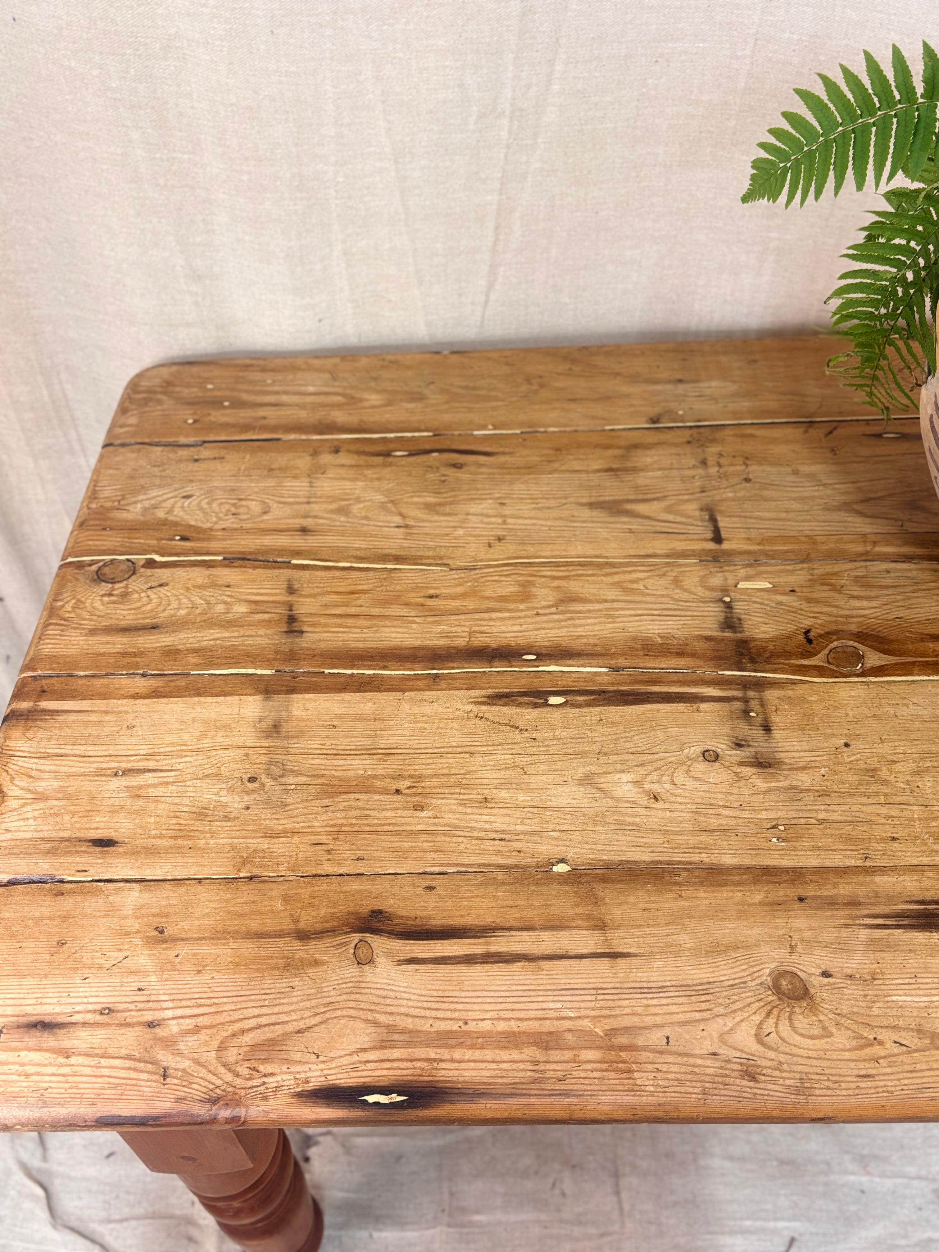 Surface of a worn wooden table top with a plant