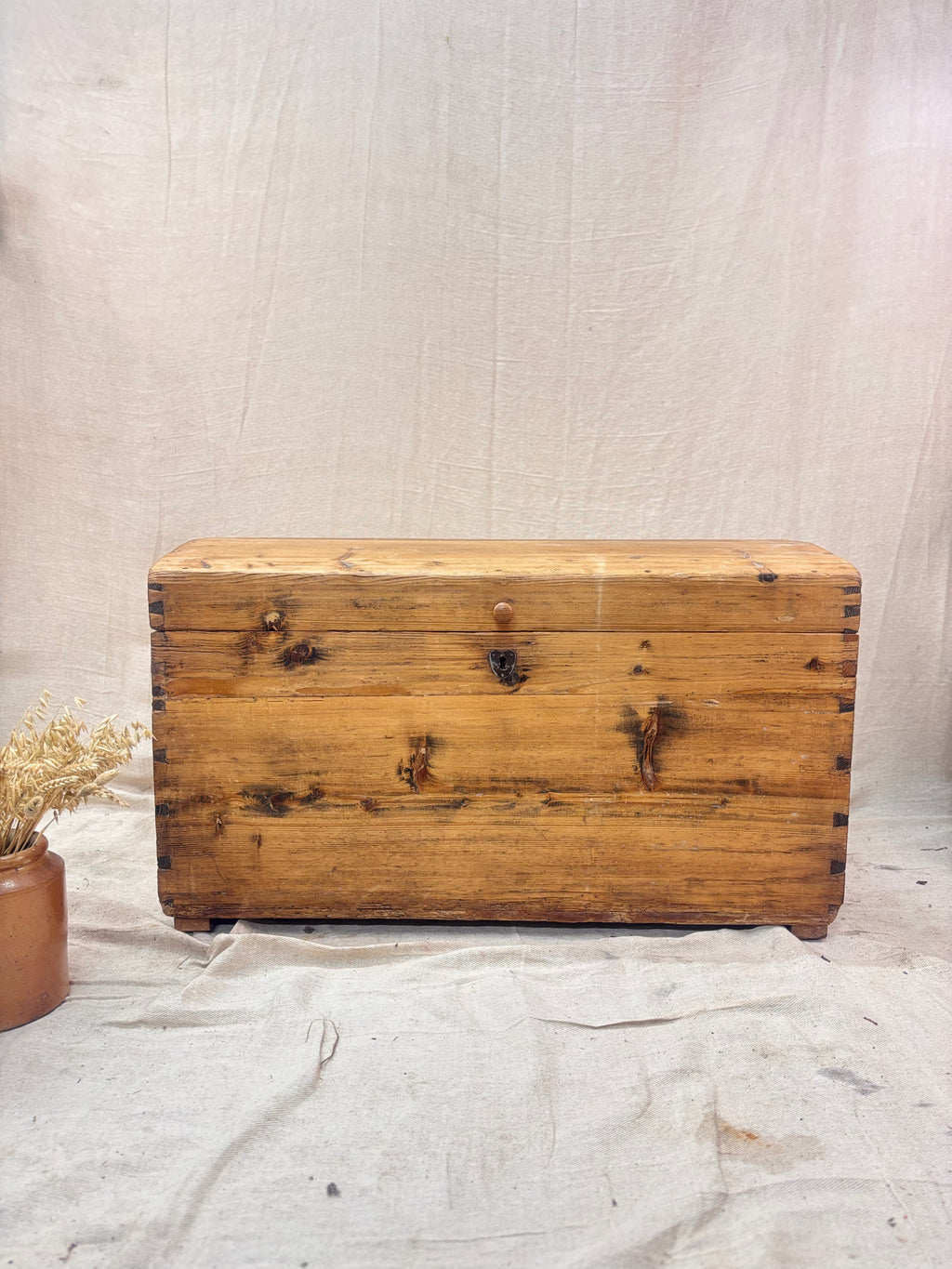 Wooden trunk on a textured surface with a neutral background