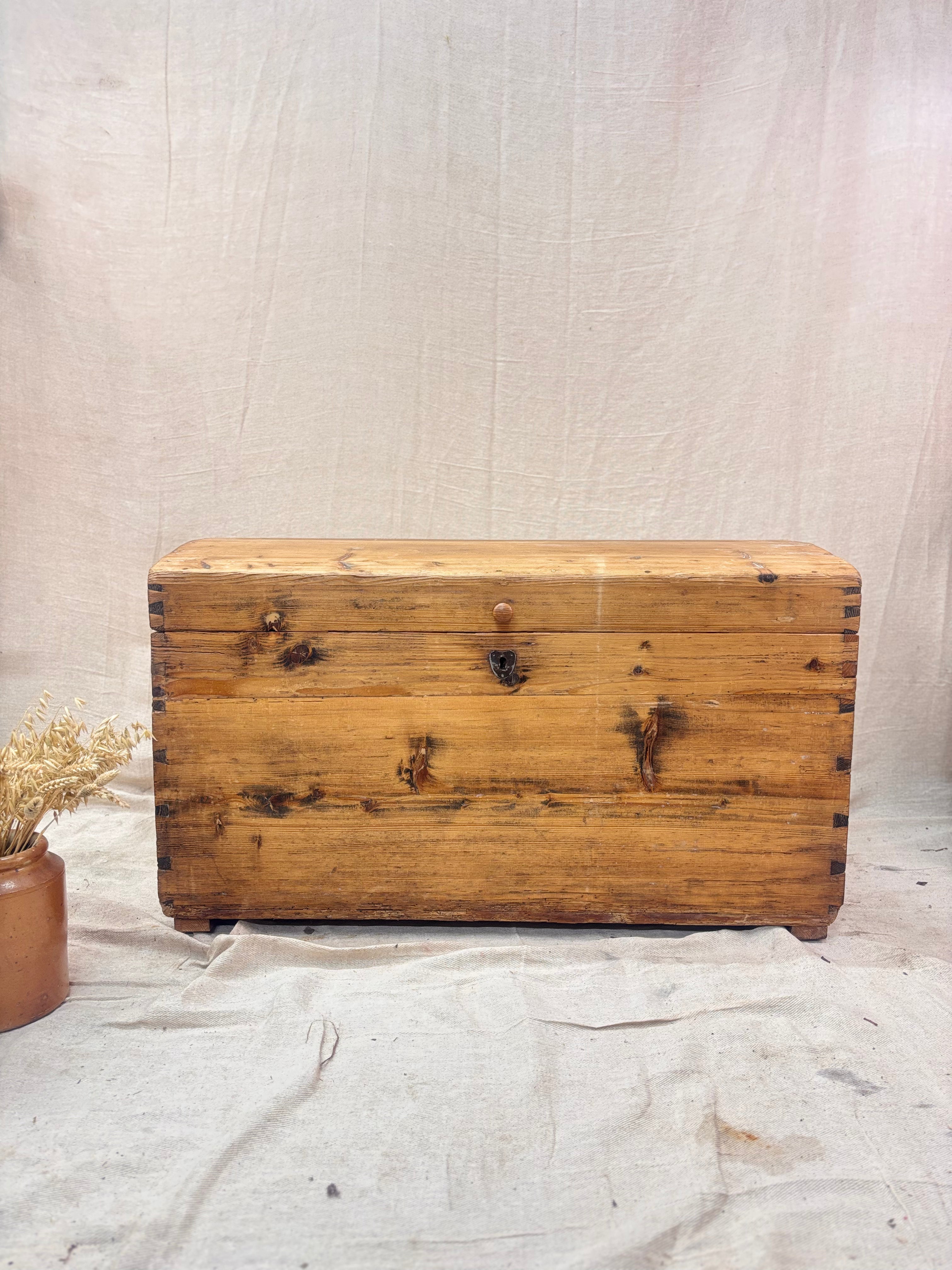 Wooden trunk on a textured surface with a neutral background