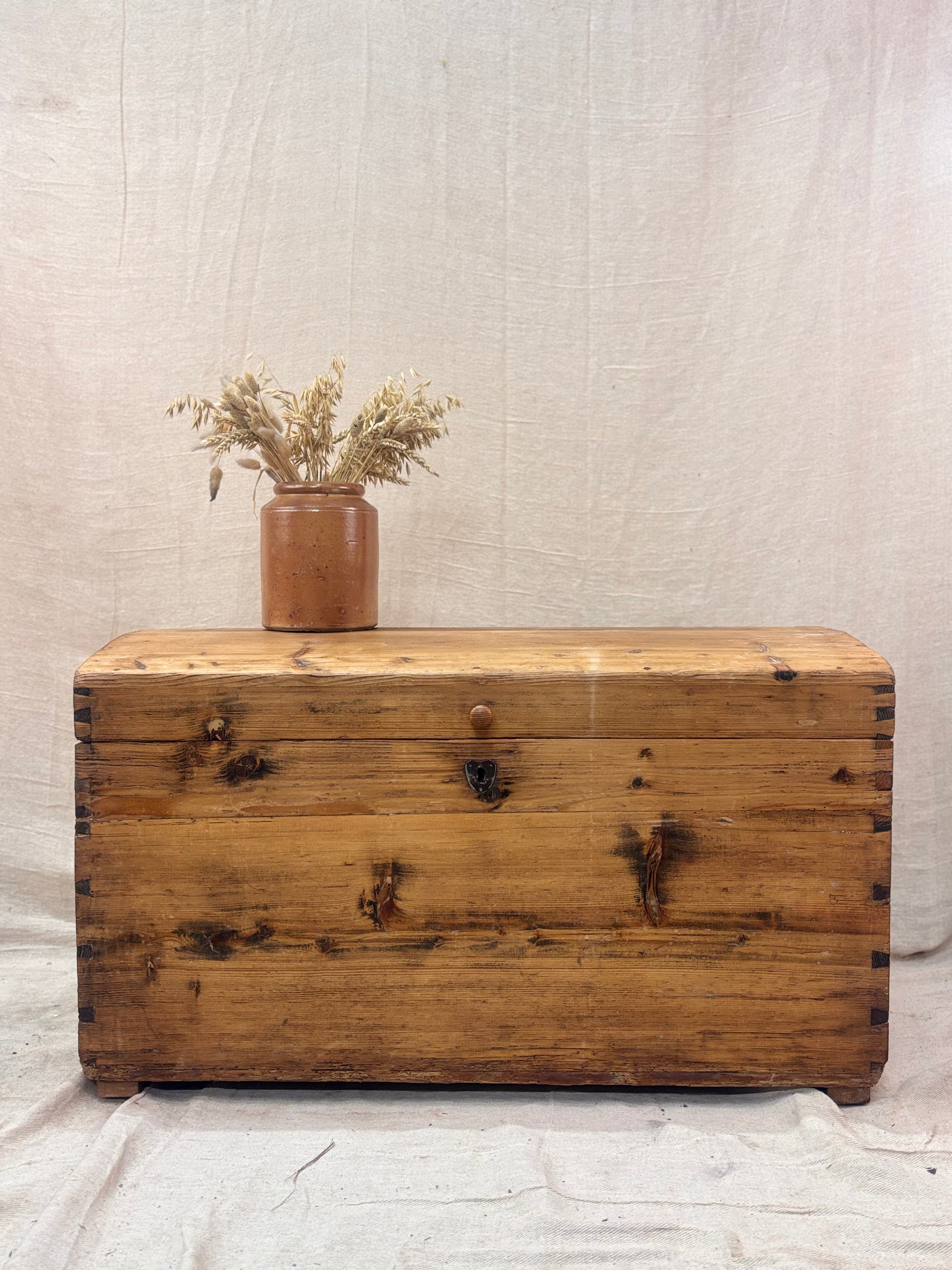 Wooden chest with a vase of dried flowers on a neutral background