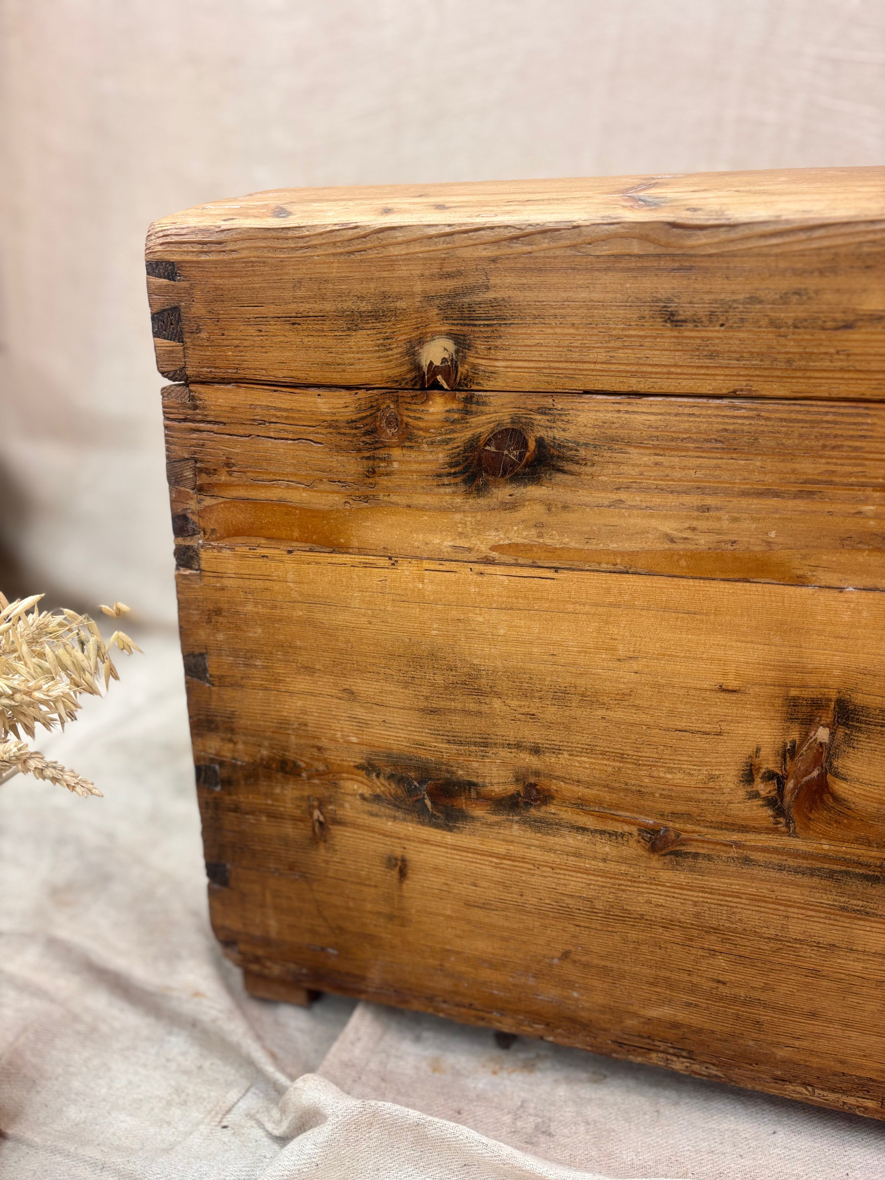 Close-up of a wooden chest with visible grain and texture on a neutral background