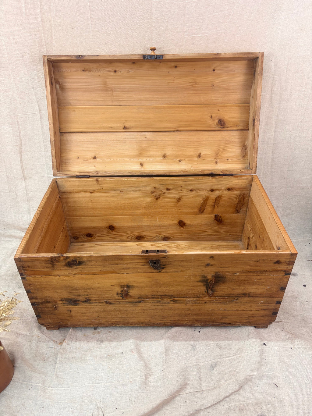 Wooden trunk with a beige background