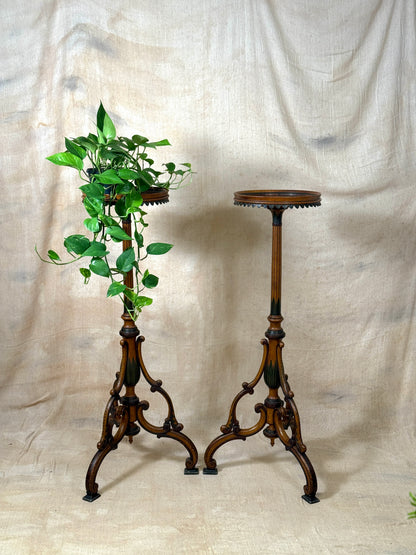Two ornate dark brown Torchere Stands with decorative scrollwork bases, shown against a draped beige fabric backdrop. One stand holds a green trailing plant, and the other is empty.