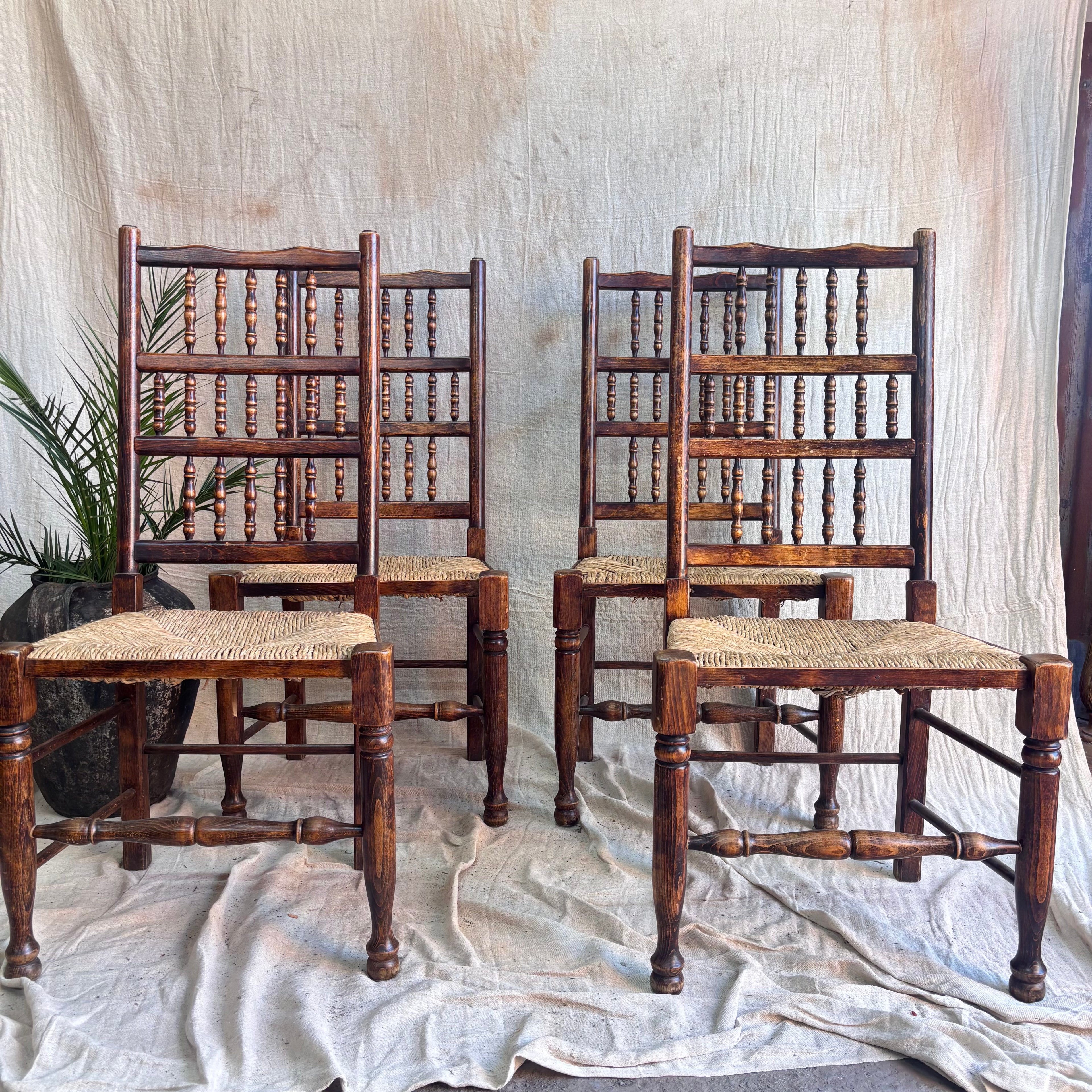 Set of four wooden chairs with rush seats on a textured white background