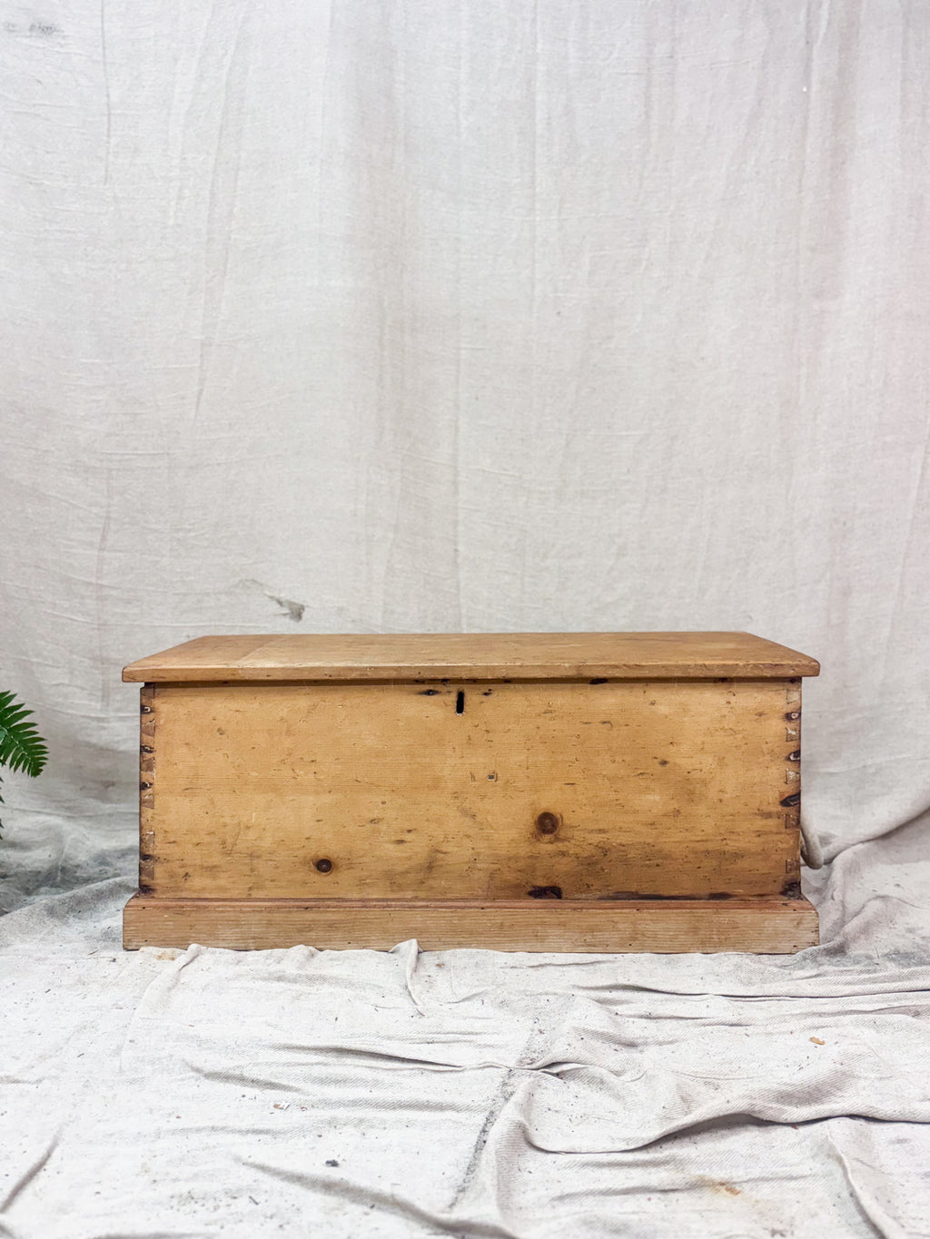 Wooden chest on a white fabric background