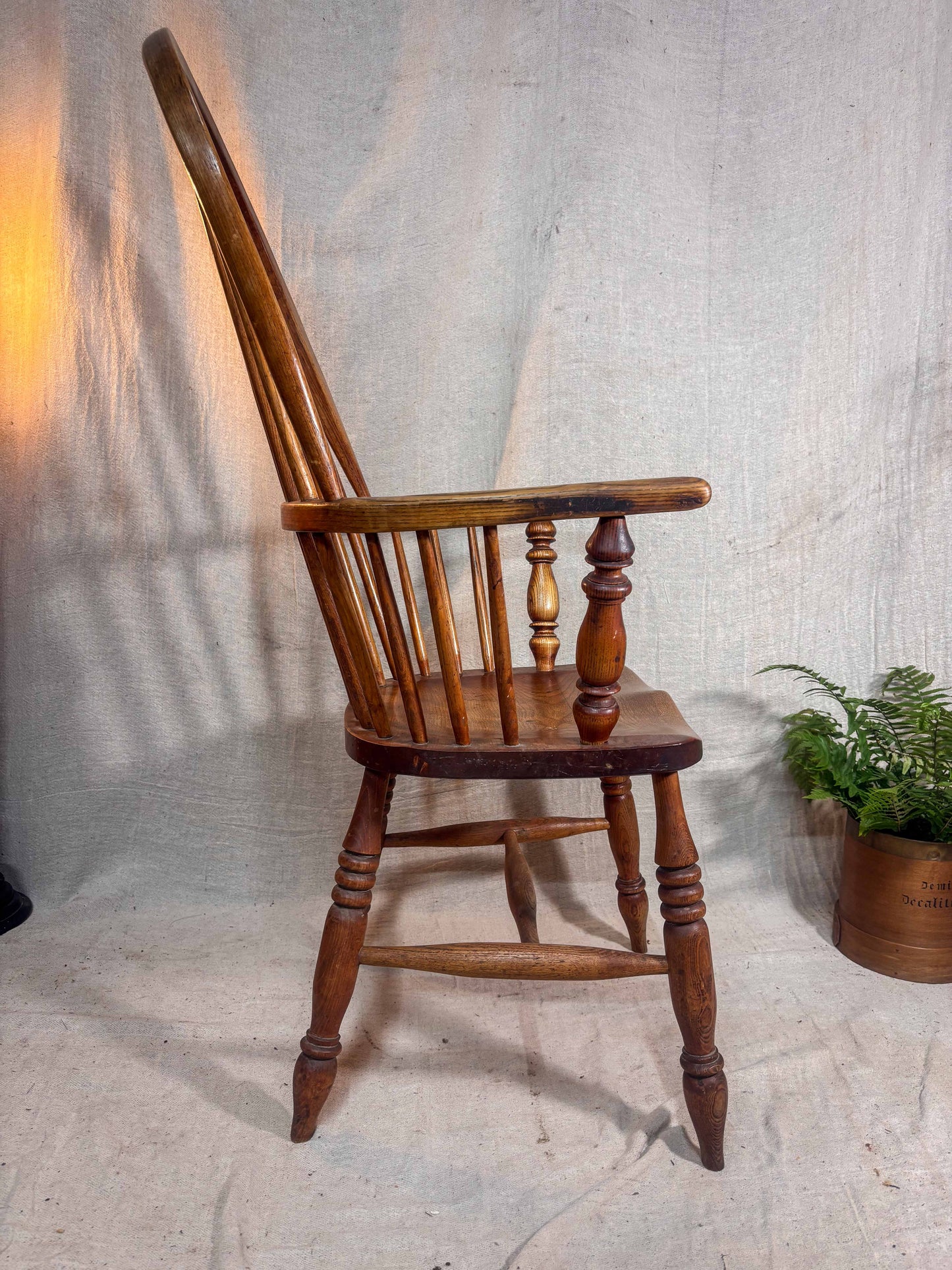 Wooden chair with a plant on a textured white background