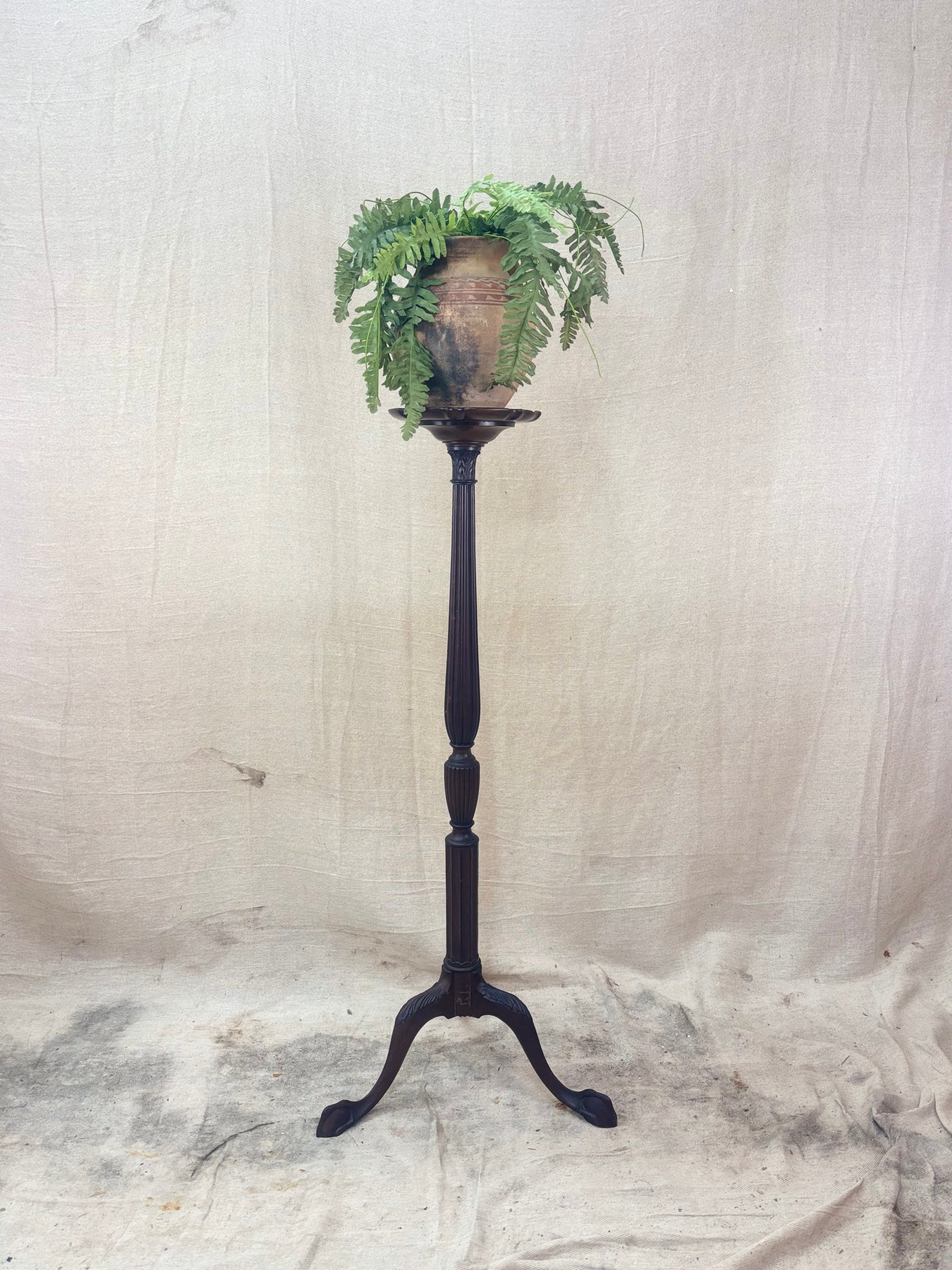 mahogany torchiere stand with plant against a plain wall