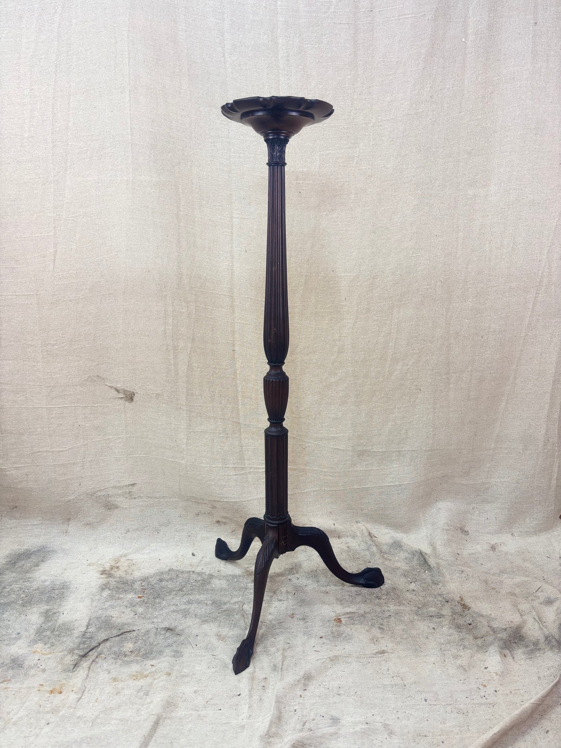 mahogany torchiere stand with plant against a plain wall