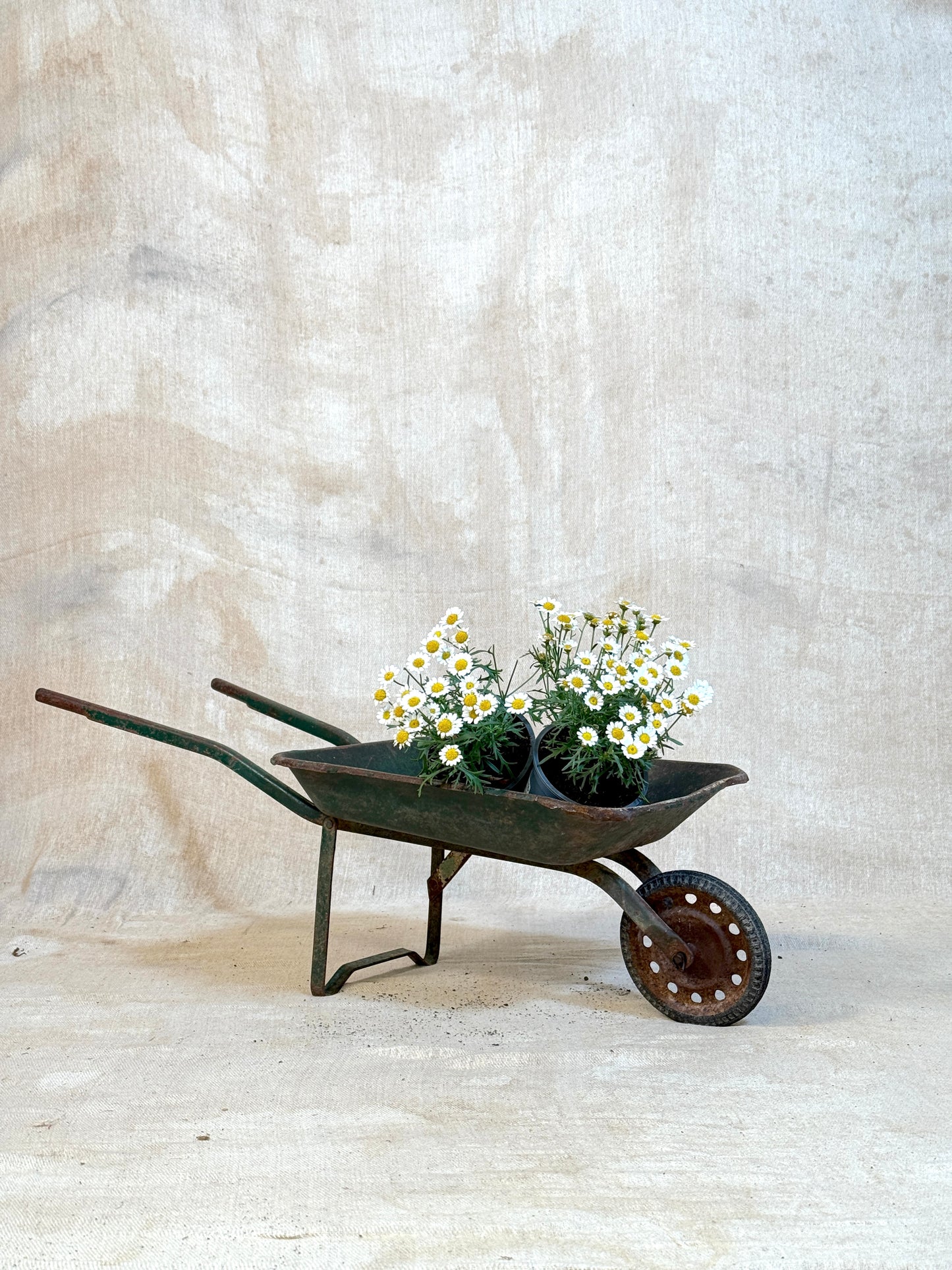 Vintage French Children's Wheelbarrow