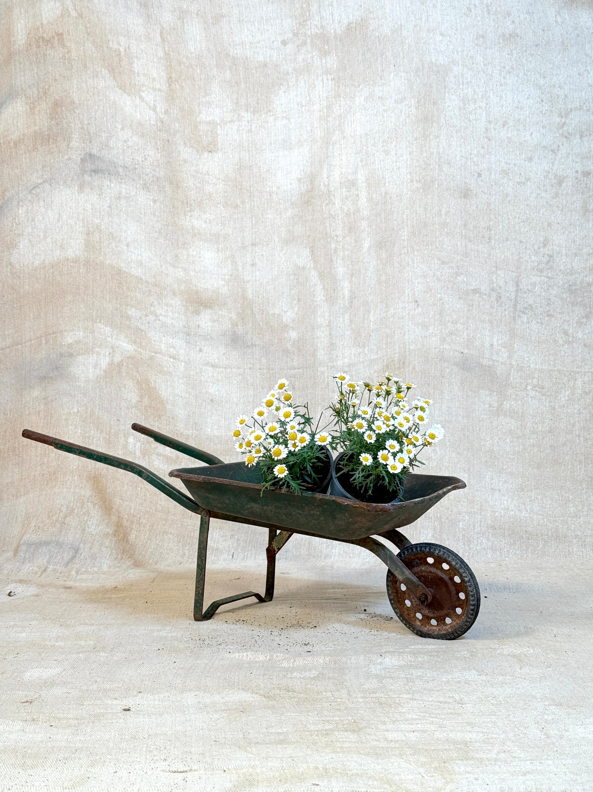 Vintage French Children's Wheelbarrow
