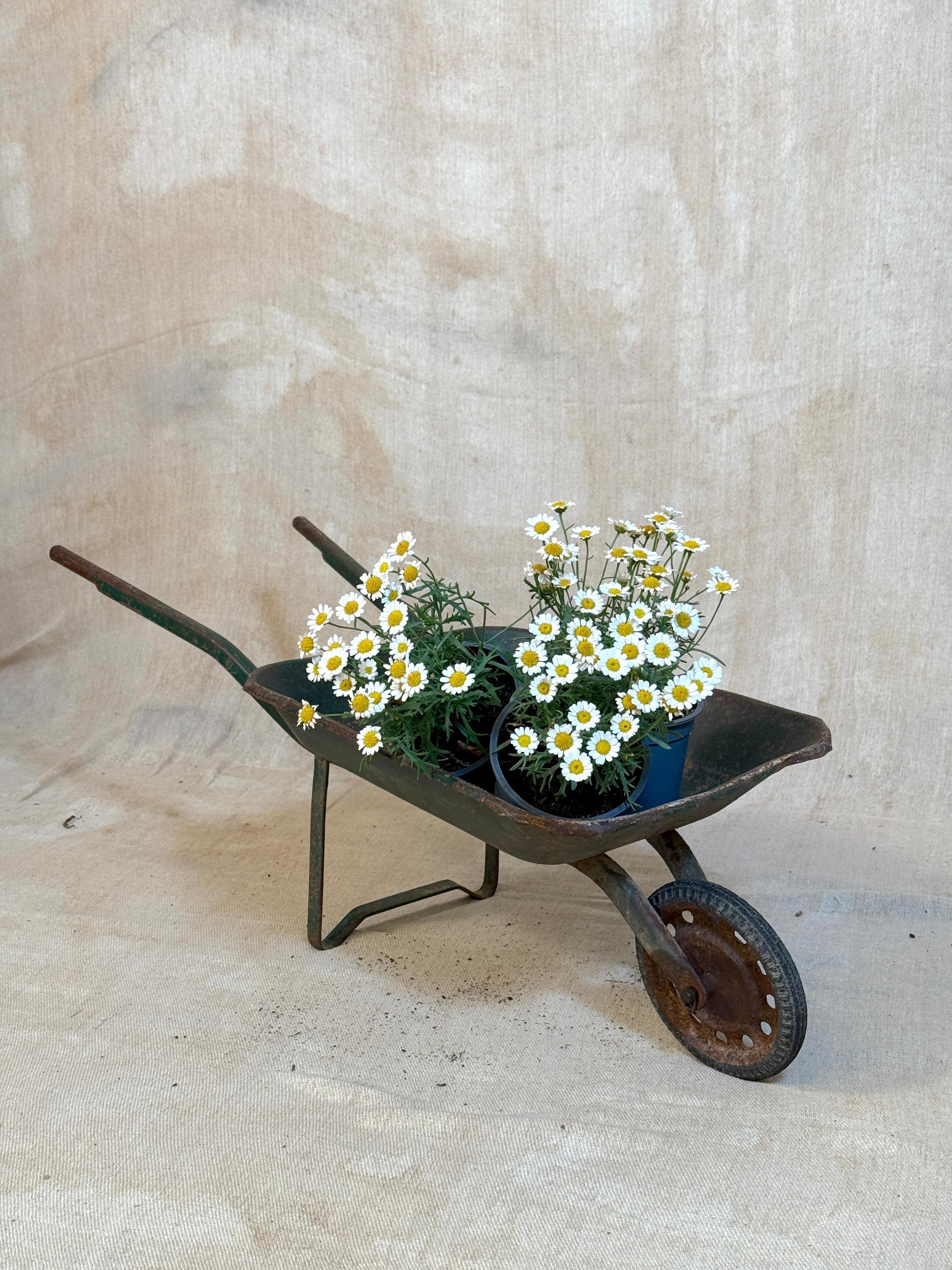 Vintage French Children's Wheelbarrow