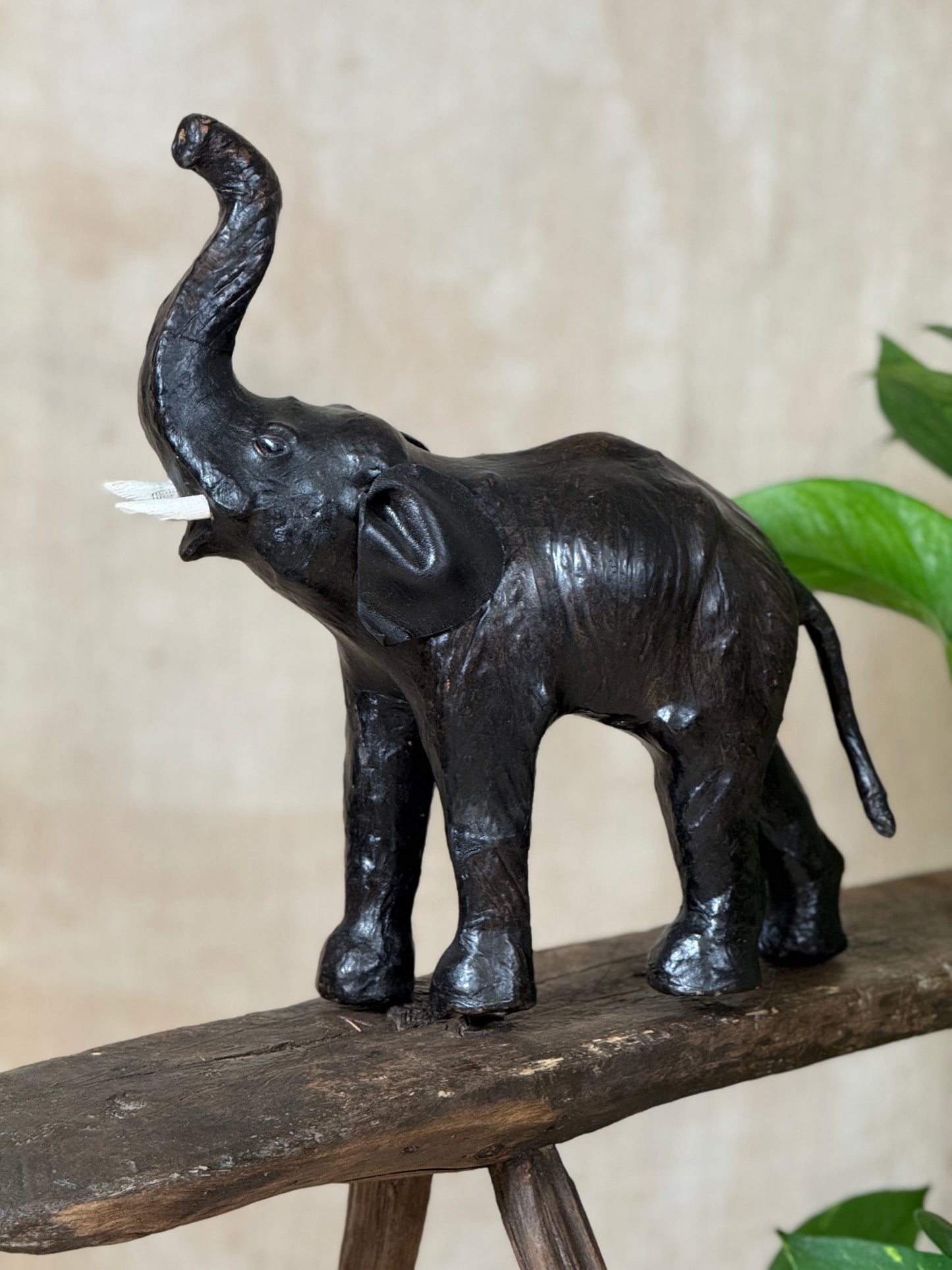A dark, textured elephant figurine with raised tusks, standing on a rustic wooden surface against a neutral beige background with green leaves in the corner.