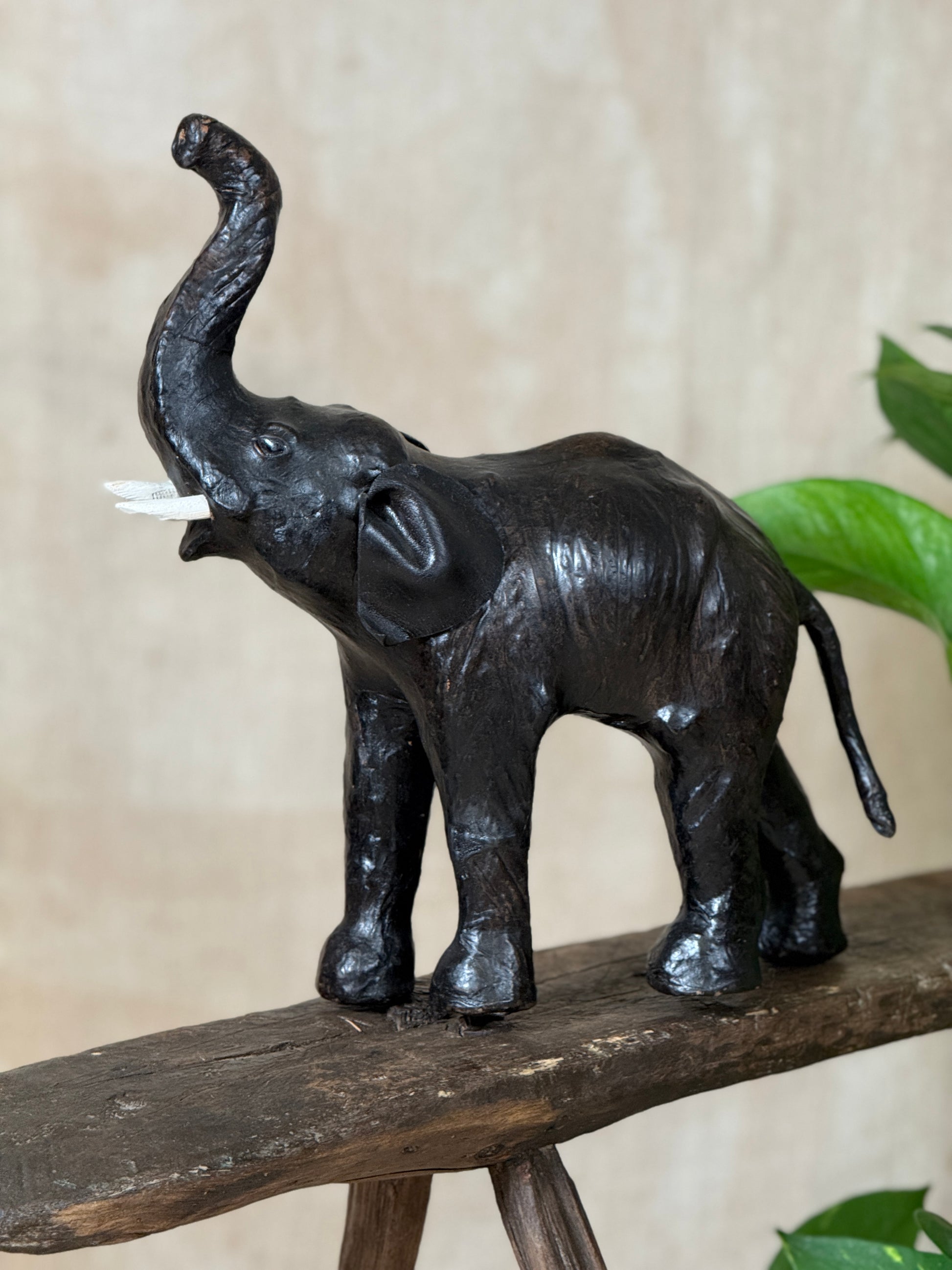 A dark, textured elephant figurine with raised tusks, standing on a rustic wooden surface against a neutral beige background with green leaves in the corner.