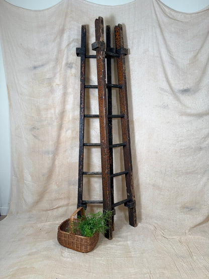 Pair of vintage wooden ladders with worn black paint
