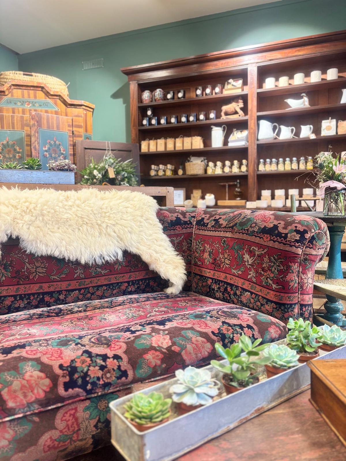 Decorative shop space set up to look like living room with floral-patterned sofa, bookshelf, and potted plants.