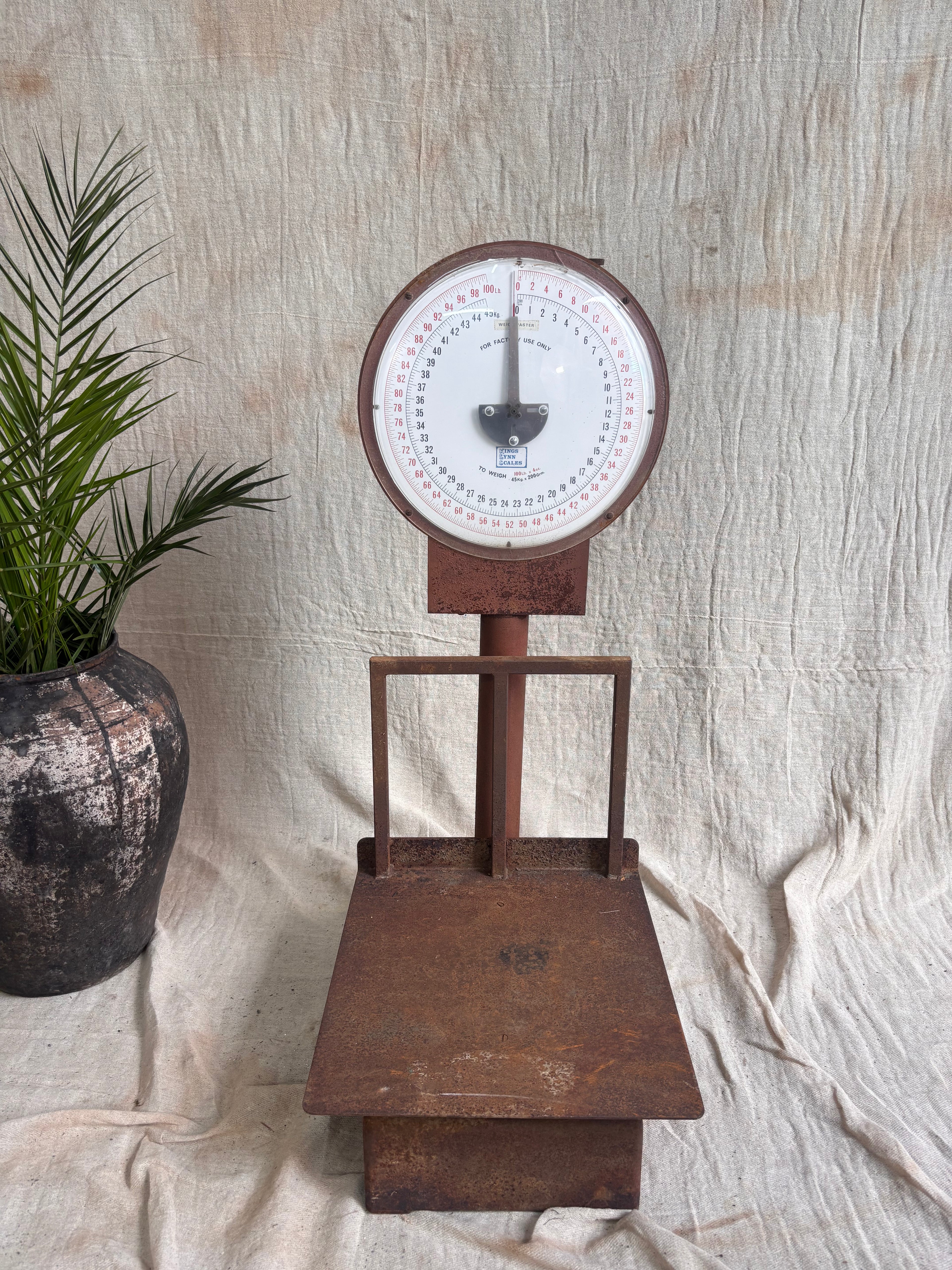 Vintage-style scale with a white dial against a textured beige wall.