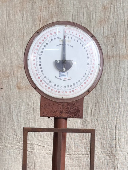 Vintage scale on a textured fabric background