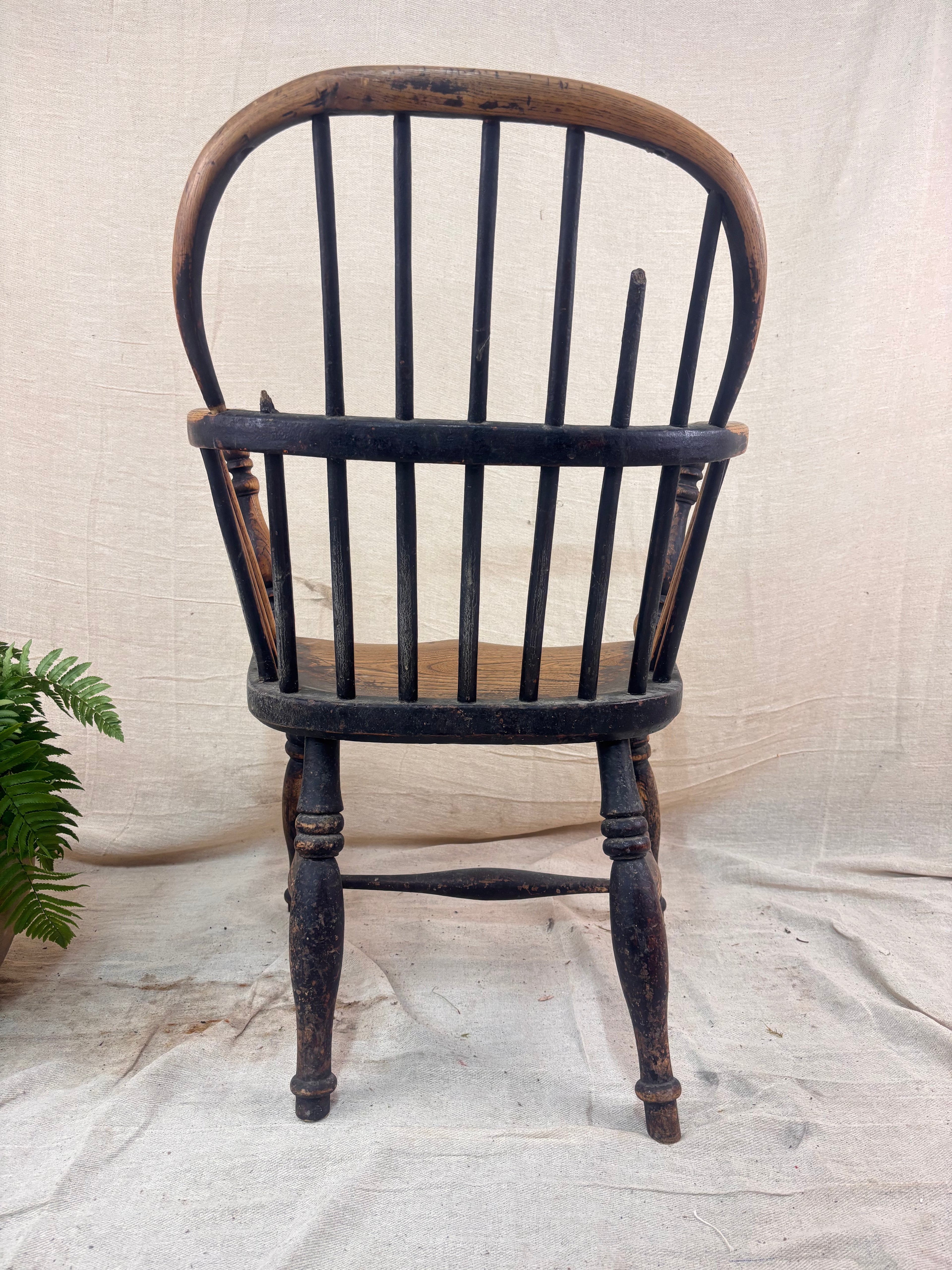 Back of a Windsor chair with hoop back, saddled seat, and splayed turned legs shown against a cream fabric background.
