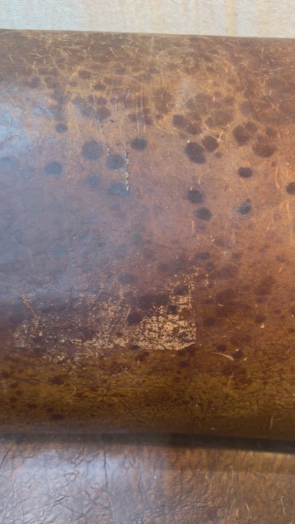 A Pair of Brown Leather Club Chairs.