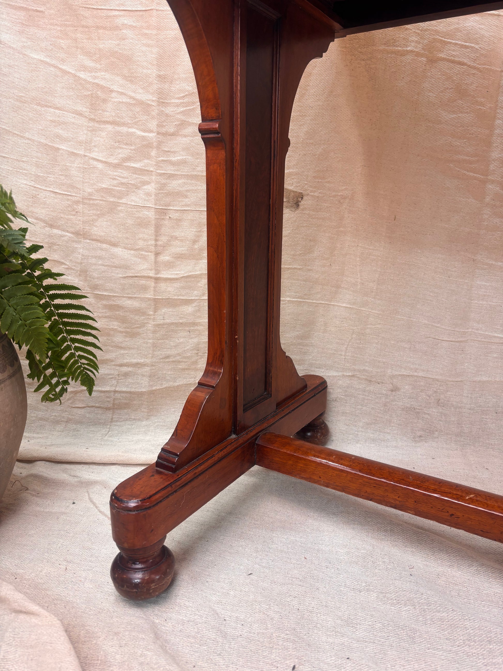 Wooden Table Leg with a plant on a cream background